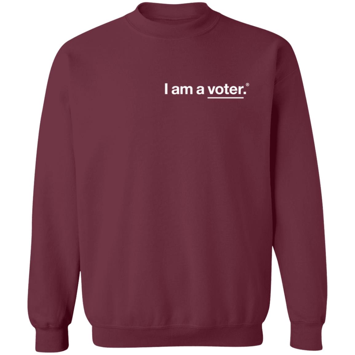 I Am A Voter Hoodie I Am A Voter Hoodie