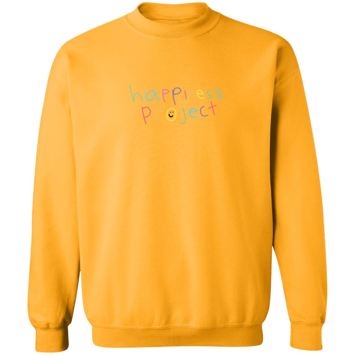Happiness Project The Basic Hoodie Happiness Merch Happiness Project The Basic Hoodie Happiness Merch