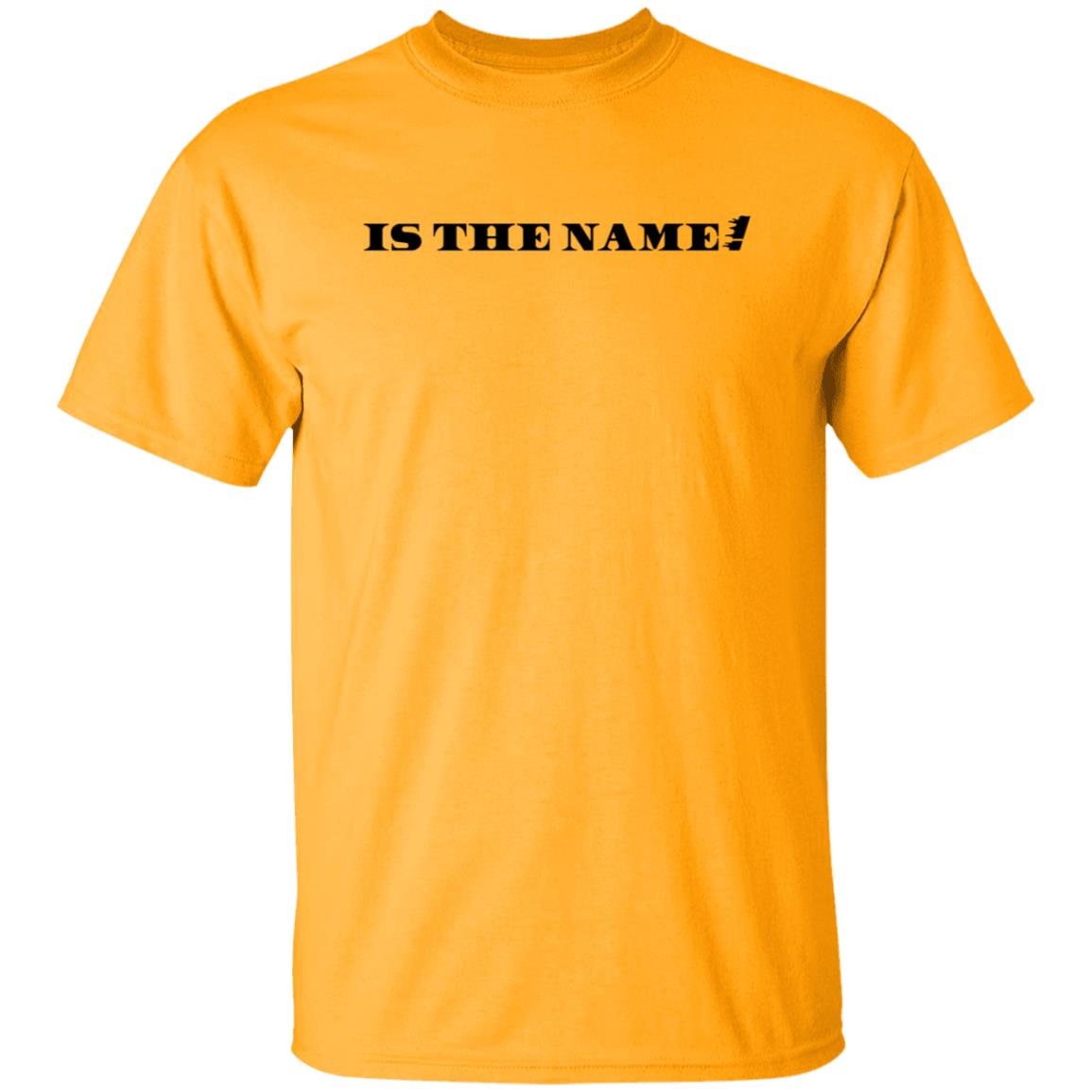 P2isthename Merch P2 Is The Name T Shirt P2isthename Merch P2 Is The Name T Shirt