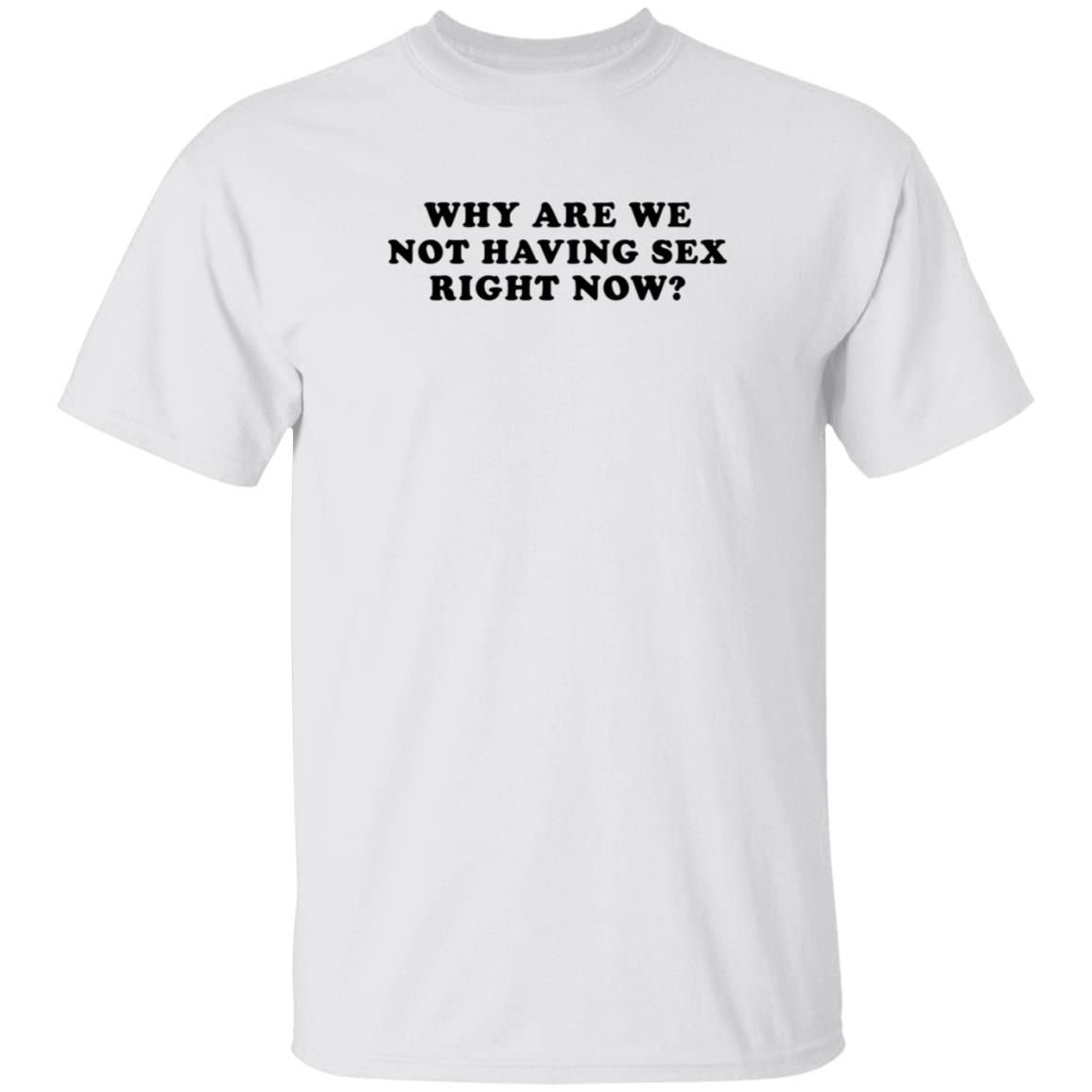 Why Are We Not Having Sex Right Now T Shirt Chloe Temple Why Are We Not Having Sex Right Now T Shirt Chloe Temple