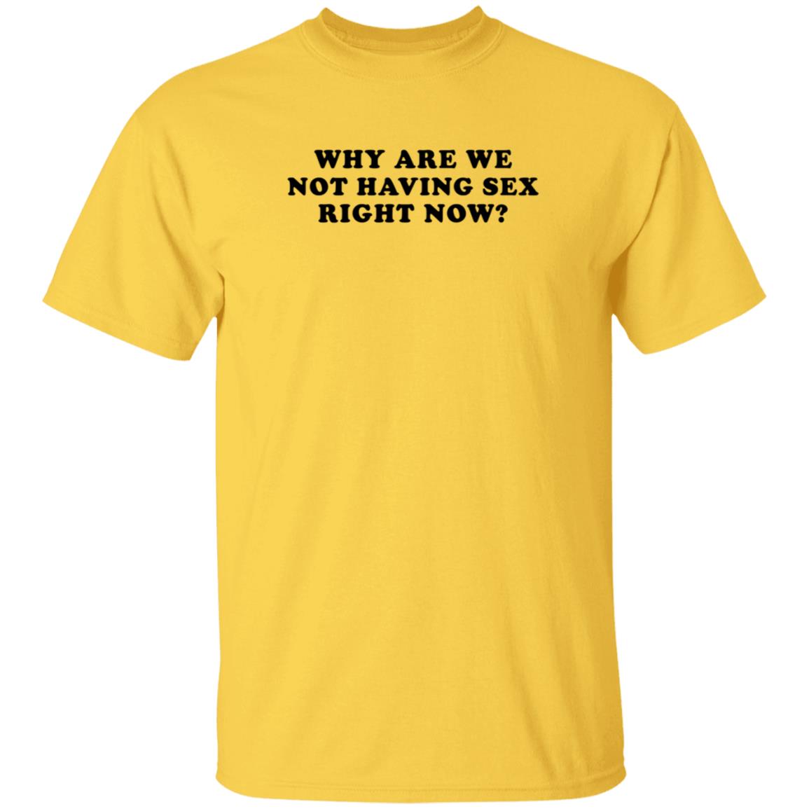 Why Are We Not Having Sex Right Now T Shirt Chloe Temple Why Are We Not Having Sex Right Now T Shirt Chloe Temple