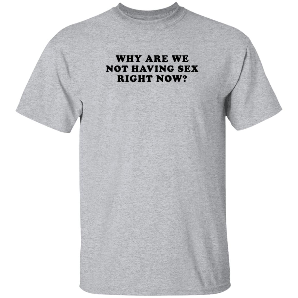 Why Are We Not Having Sex Right Now T Shirt Chloe Temple Why Are We Not Having Sex Right Now T Shirt Chloe Temple