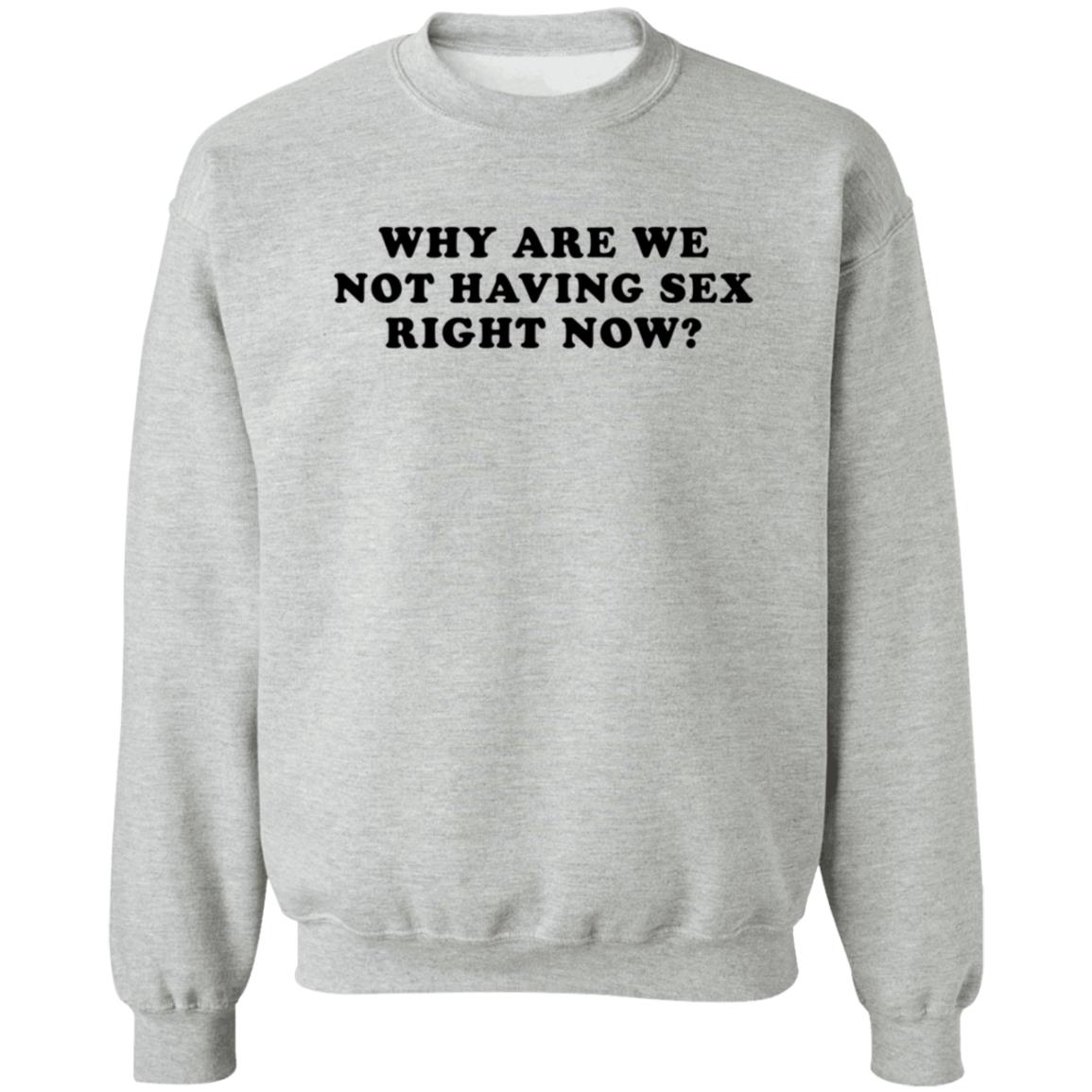 Why Are We Not Having Sex Right Now T Shirt Chloe Temple Why Are We Not Having Sex Right Now T Shirt Chloe Temple