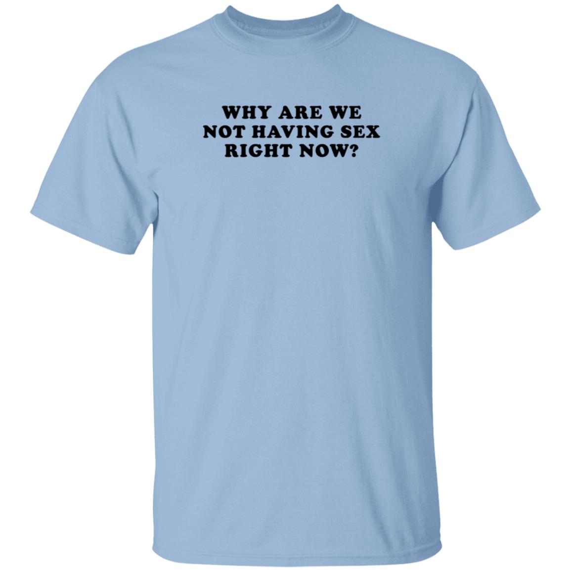 Why Are We Not Having Sex Right Now T Shirt Chloe Temple Why Are We Not Having Sex Right Now T Shirt Chloe Temple